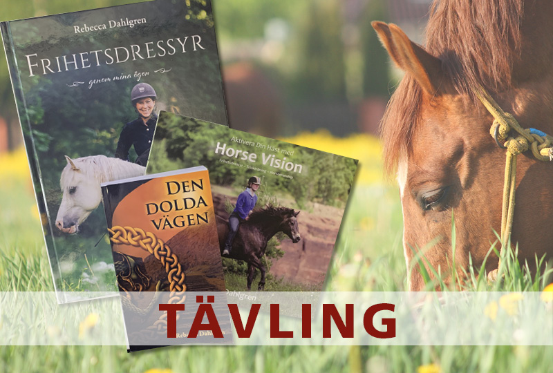 Tävling böcker 2020 | BORGA